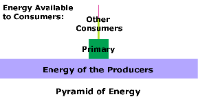 Pyramid of Energy